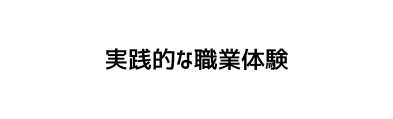 実践的な職業体験